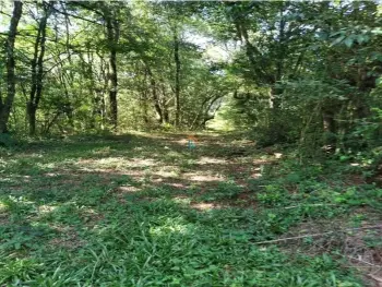 Imagem do anúnio: Vendo fazenda / sítio / chácara em Joaçaba , Santa Catarina no bairro Jardim das Hortências