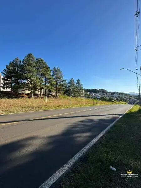 Imagem do anúnio: Vendo terreno / lote / condomínio em Videira , Santa Catarina