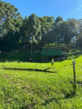 Imagem do anúnio: Vendo fazenda / sítio / chácara em Videira , Santa Catarina no bairro Linha XV de Novembro