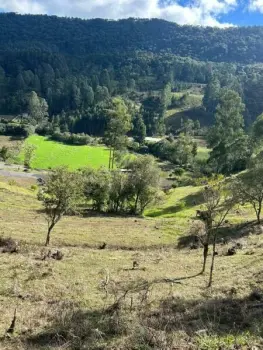 Imagem do anúnio: Vendo fazenda / sítio / chácara em Urubici , Santa Catarina no bairro Rio do Engano