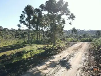 Imagem do anúnio: Vendo terreno / lote / condomínio em Rio Rufino , Santa Catarina no bairro Interior