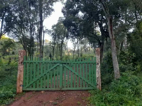 Imagem do anúnio: Vendo fazenda / sítio / chácara em Catanduvas , Santa Catarina no bairro Linha Pedra Lisa