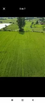 Imagem do anúnio: Vendo fazenda / sítio / chácara em Tijucas , Santa Catarina no bairro Rural
