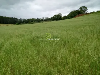 Imagem do anúnio: Vendo chácara em Capinzal , Santa Catarina no bairro Capinzal