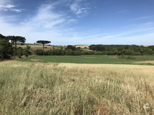 Imagem do anúnio: Vendo fazenda / sítio / chácara em Xanxere , Santa Catarina no bairro Interior