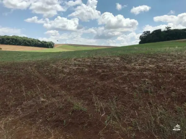 Imagem do anúnio: Vendo fazenda / sítio / chácara em Xanxere , Santa Catarina no bairro Interior