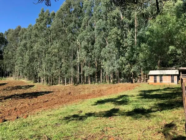 Imagem do anúnio: Vendo fazenda / sítio / chácara em Rio Das Antas , Santa Catarina no bairro Interior