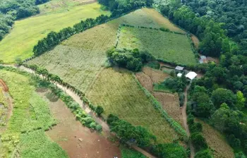 Imagem do anúnio: Vendo fazenda / sítio / chácara em Rio Das Antas , Santa Catarina no bairro Ipomeia