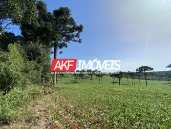 Imagem do anúnio: Vendo fazenda / sítio / chácara em Chapecó , Santa Catarina no bairro Linha Rodeio do Erval