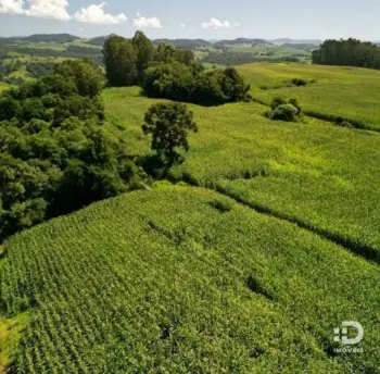 Imagem do anúnio: Vendo fazenda / sítio / chácara em Luzerna , Santa Catarina no bairro Linha Roça Grande