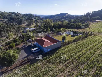 Imagem do anúnio: Vendo fazenda / sítio / chácara em Concórdia , Santa Catarina no bairro Linha São Paulo