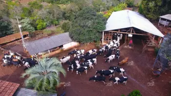 Imagem do anúnio: Vendo terreno / lote / condomínio em Concórdia , Santa Catarina no bairro Linha Canavese