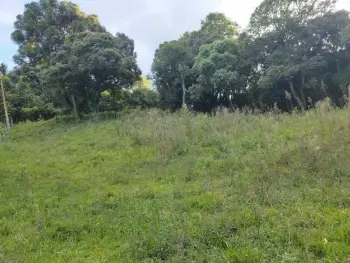 Imagem do anúnio: Vendo fazenda / sítio / chácara em Luzerna , Santa Catarina no bairro Linha Grafunda