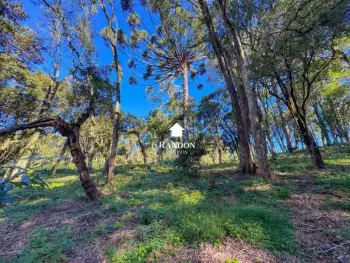 Imagem do anúnio: Vendo fazenda / sítio / chácara em Videira , Santa Catarina no bairro Anta Gorda