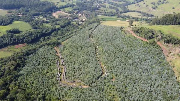 Imagem do anúnio: Vendo terreno / lote / condomínio em Jaborá , Santa Catarina no bairro Interior