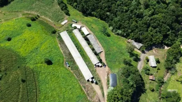 Imagem do anúnio: Vendo fazenda / sítio / chácara em Peritiba , Santa Catarina no bairro Linha Caravagio