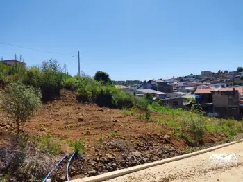 Imagem do anúncio: Vendo terreno / lote / condomínio em Fraiburgo , Santa Catarina no bairro São Sebastião
