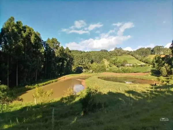 Imagem do anúnio: Vendo fazenda / sítio / chácara em Ipumirim , Santa Catarina no bairro Interior
