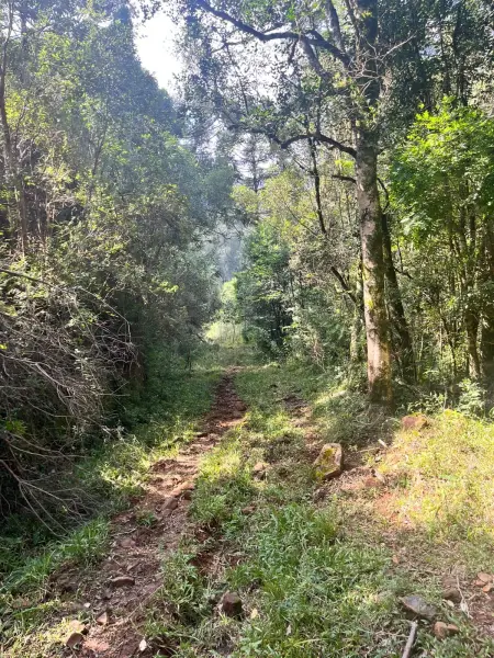 Imagem do anúnio: Vendo fazenda / sítio / chácara em Ibiam , Santa Catarina no bairro Interior