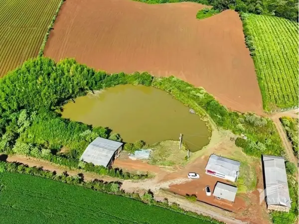 Imagem do anúnio: Vendo fazenda / sítio / chácara em Lebon Régis , Santa Catarina no bairro Interior