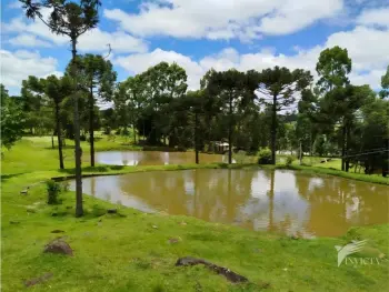 Imagem do anúnio: Vendo fazenda / sítio / chácara em Caçador , Santa Catarina no bairro Interior